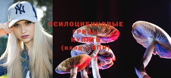 эйфоретик Гусев