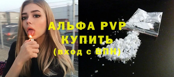стаф Вяземский