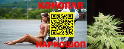 гидропоника Бийск
