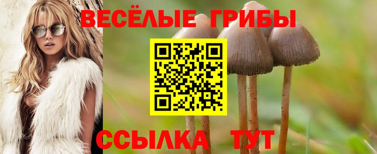 Псилоцибиновые грибы MAGIC MUSHROOMS Курчатов